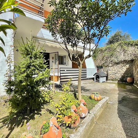 ペラマMaria'S Houseアパートメント エクステリア 写真